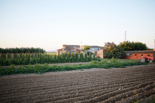 Scenic view of rural farm with organic crops