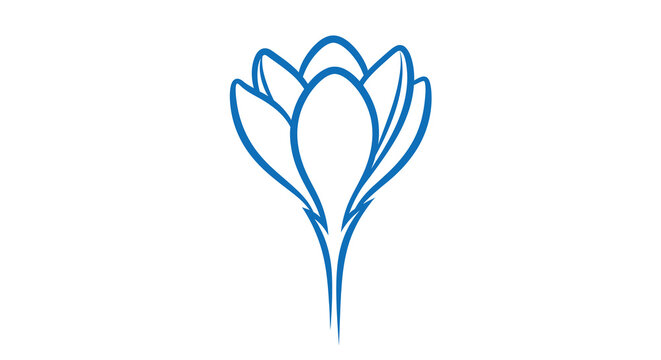 A simple line drawing depicts a blue crocus flower with upward curving petals high quality professional
