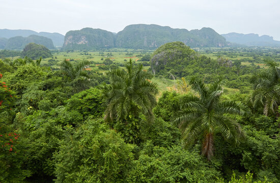 Lush landscapes of Vinales Valley in Cuba