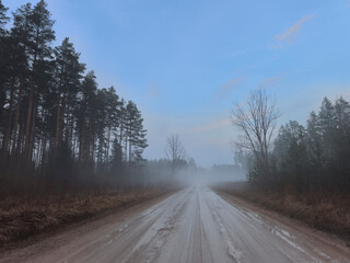 wet, mud covered country road through spring forest in misty morning