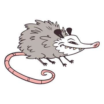 Smirking cartoon opossum