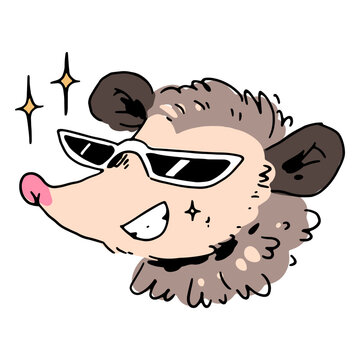 Cartoon possum wearing sunglasses
