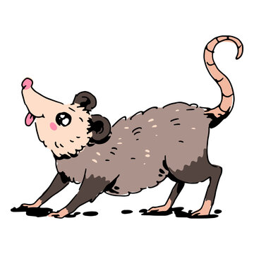 Cartoon opossum is standing