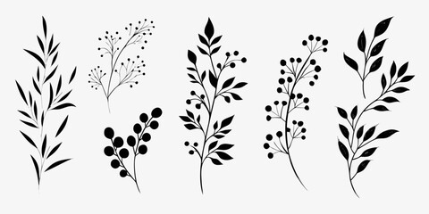 Elegant black silhouettes of various leafy branches and botanical elements © Smritykona