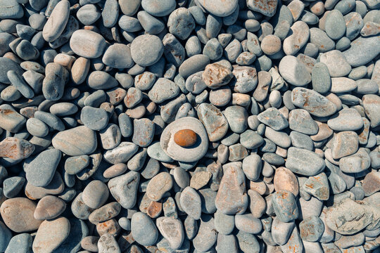 Close-up view of various smooth pebbles on the ground