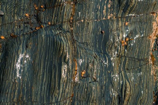Ancient geological rock surface with layered patterns