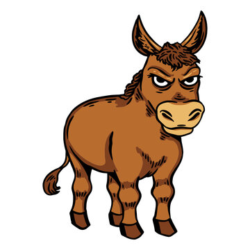 Angry donkey standing