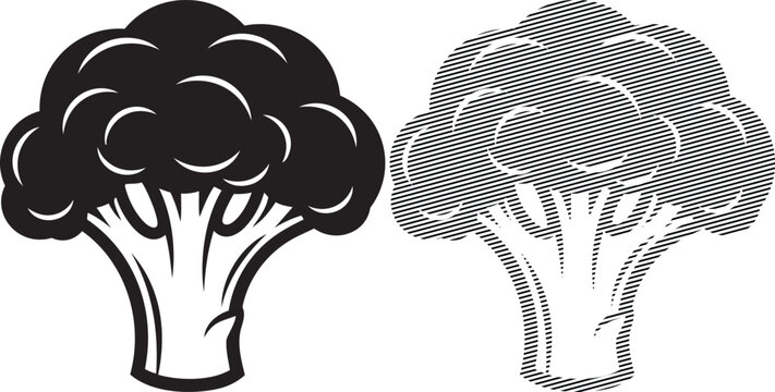 Comparative illustration of a whole broccoli and its internal floret structure