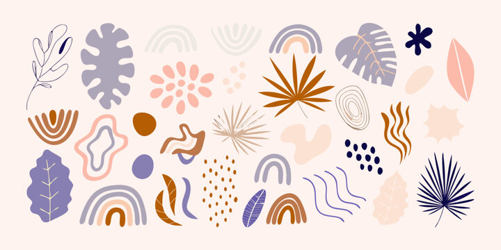 Abstract botanical illustration with colorful leaves shapes and rainbow arcs