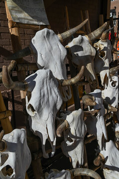 View of sun-drenched animal skulls with weathered bone textures and curving horns cast long shadows, a stark contrast against the rough wooden rack, Santa Fe, New Mexico, United States.