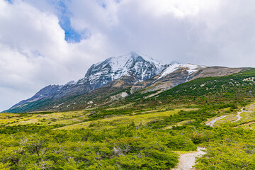 Fototapeta premium A dirt hiking path leads through a grassy meadow toward a massive snow-capped peak in Torres del Paine National Park.