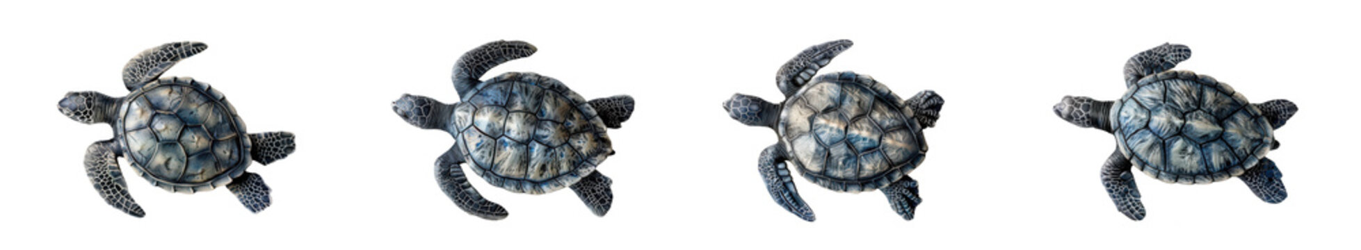 Set of four small sea turtles swimming isolated on transparent background