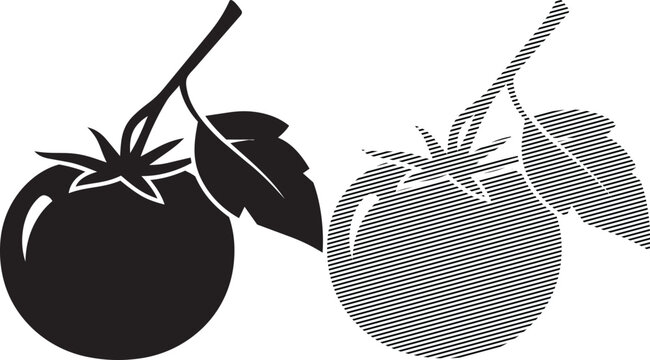 Comparison of a regular tomato and a patterned eggplant illustration