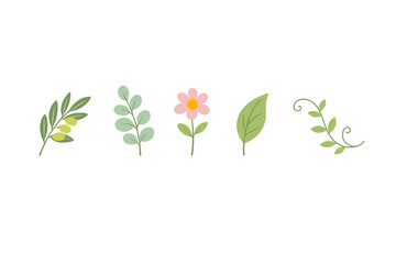 Obraz premium A set of five simple botanical illustrations featuring an olive