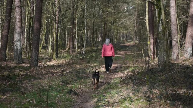 Woman walking on forest path with dog during nature hike