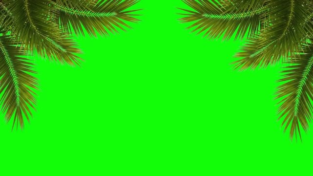 Tropical Palm Tree Leaves Border Frame Swaying on Chroma Key Green Screen Background for Summer Design