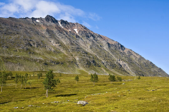 Tundra landscape in Norway