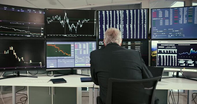 Back, business and man with computer for stock market, financial trading and investment performance. Male trader, digital or review cryptocurrency with data analysis, graph increase and profit growth