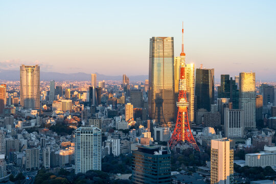 Tokyo skyline at sunrise, Tokyo, Japan