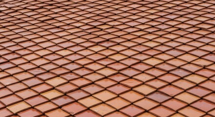 Fototapeta premium Patterned brown terracotta roof tiles in seamless design