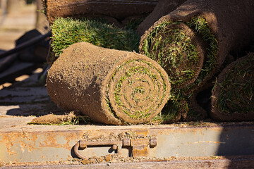 Tight view of rolled turf showing spiral layers, dense grass texture and earthy fresh cut detail
