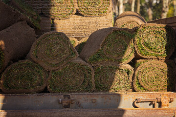 Multiple sod rolls piled in warm light beside rough stone wall, rustic outdoor storage atmosphere