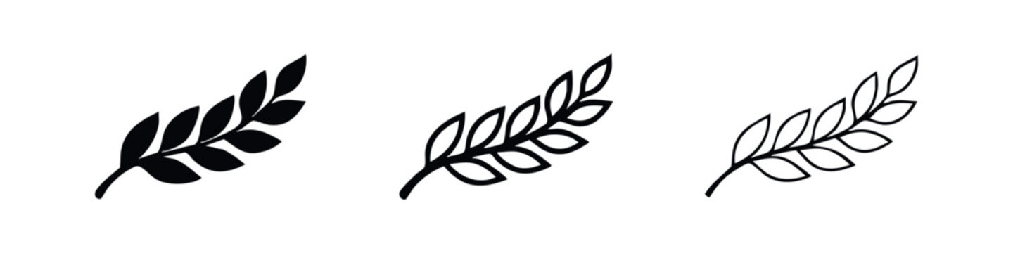 Botanical leaf branch icon set. Nature, agriculture, or peace symbol vector illustration.
