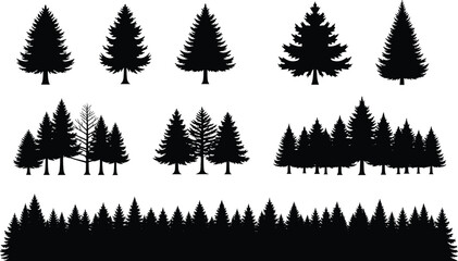 Black silhouettes of various pine trees on white background tree silhouettes black trees coniferous trees © Aysha