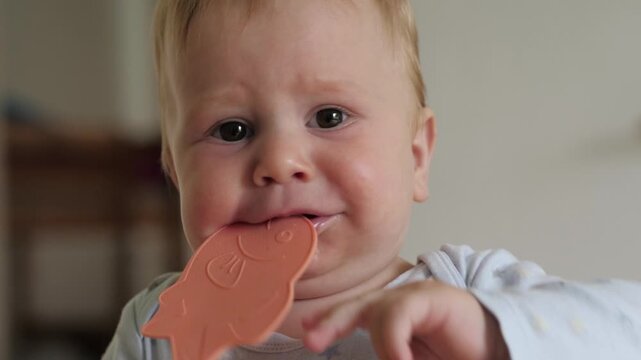 Baby chewing pink fish teether playfully, closeup. Candid home interior soft natural light, curious expression drool gum rubbing oral exploration early teeth milestone parenting moment toy discovery