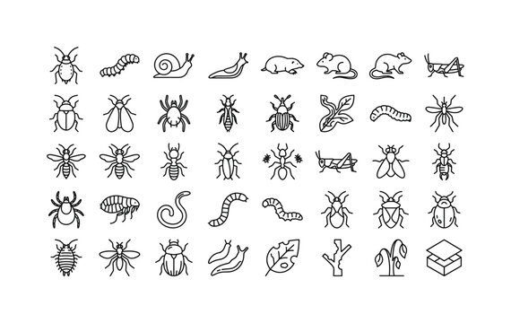 Pest_grid_on_white_background_1fda473441.jpeg