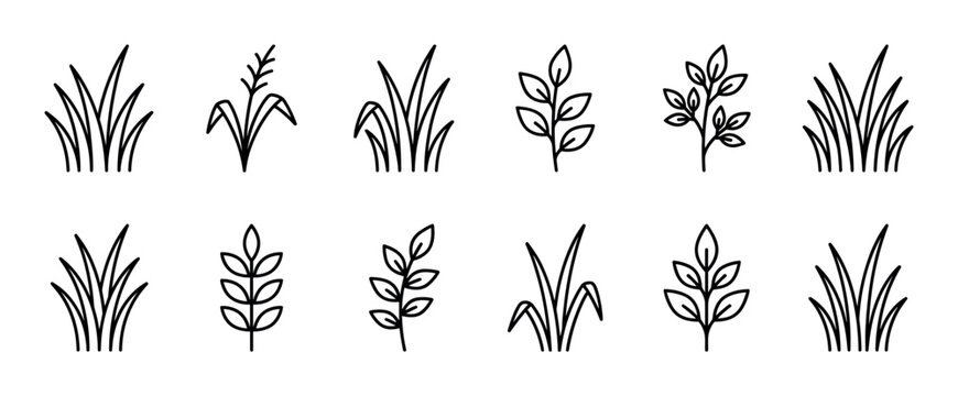 Black line art plant icons set featuring various simple grass tufts and leafy sprigs, a minimalist collection of botanical elements with clean, linear illustrations