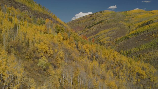 An aerial flyover near Vail, CO with fall colors of Aspen trees in the foothills