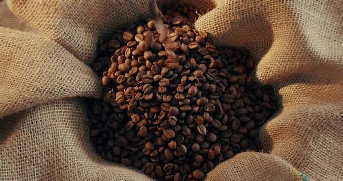 Bag, pouring and caffeine or coffee beans to harvest for production and supply for beverage product. Seeds, fresh and roasted grains for food with natural, organic and healthy flavor in cafe