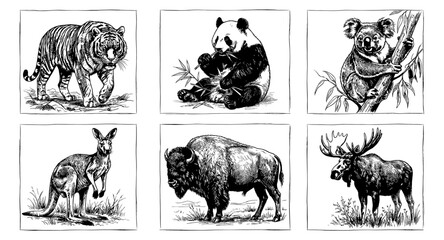 Fototapeta premium Collection of six distinct wild animal illustrations in a vintage sketch style