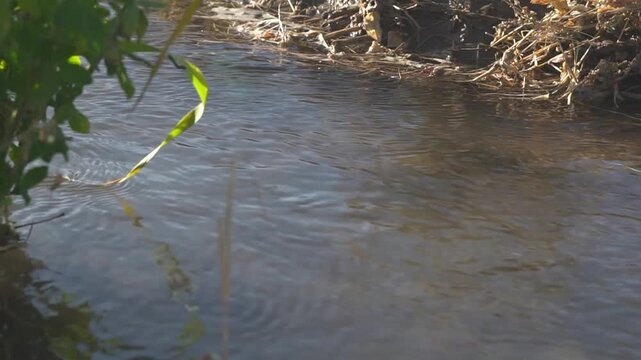 corriente rio fluyendo en el campo
