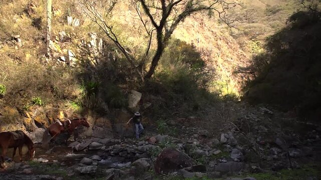 caballos en zona de monta&ntilde;a cruzando un rio