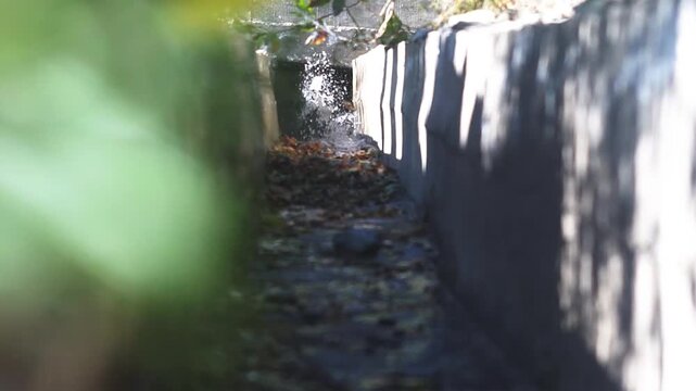 Canal de riego