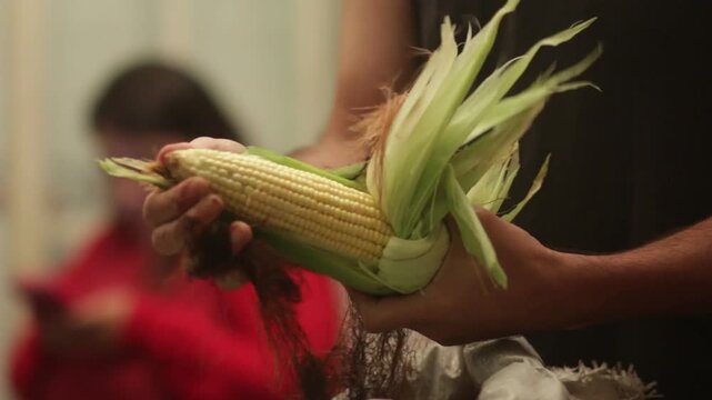pelando ma&iacute;z o choclo