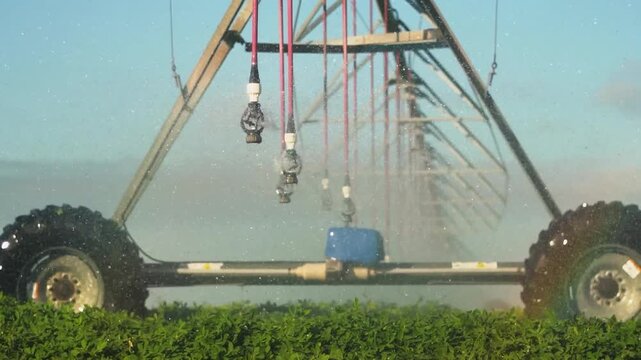 Sistema de agua de riego para campo productivo