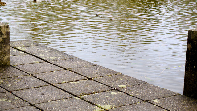 Short concrete posts and submerged steps lead into the calm water of a park lake. The weathered structures stand partially in the lake, creating a geometric contrast with the natural shoreline and ref