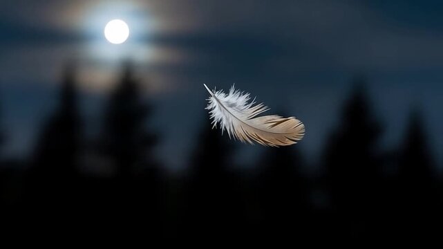 Feather's Serenade Under the Moon: A lone feather floats gracefully against a backdrop of the serene night sky, with a soft moon, conveying a sense of serenity.