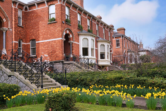 Row of large brick semi-detached houses in an older suburban residential neighborhood