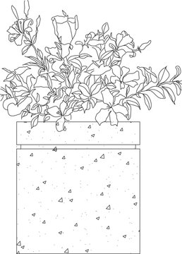 Technical landscape elevation drawing showing rectangular planter box with flowering plants, roses and foliage cascading over the edges with concrete texture.