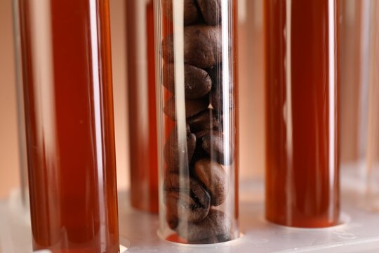 Tasty coffee and beans in test tubes on blurred background, closeup