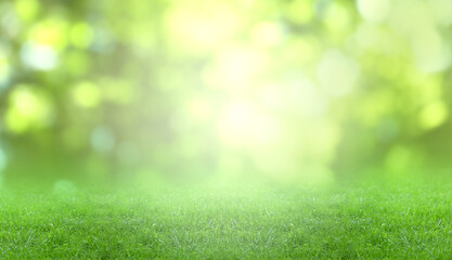 Naklejka premium Meadow with sunlit lush green grass on spring day