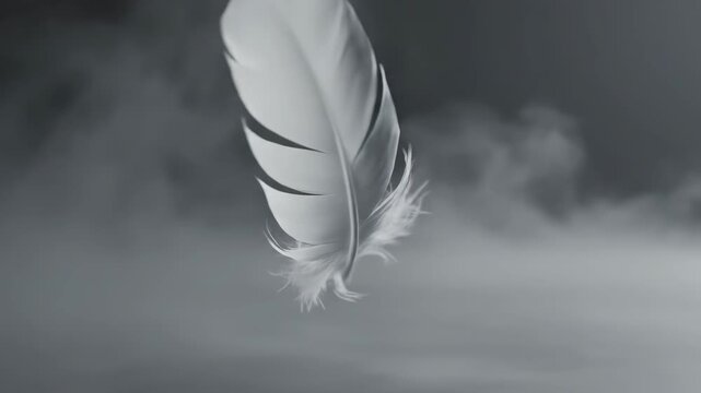 Macro shot of delicate white feather drifting and rotating through thick grey mist in monochrome