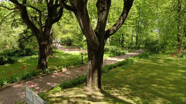 Low circular drone flight in Klin park