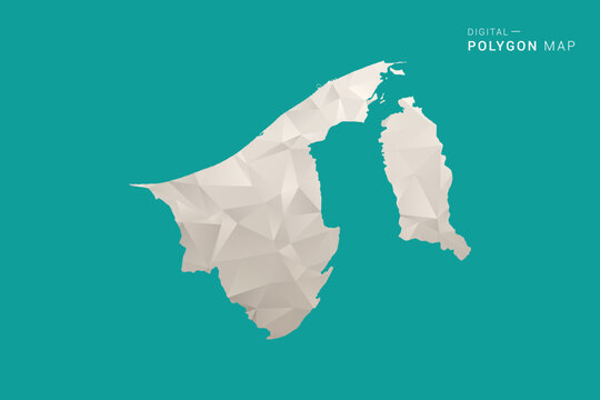 Brunei Map - Green and Gray Polygon Vector Illustration, Low Poly Geometric Design with Clean Minimal Style on Solid Background for Infographic Use.