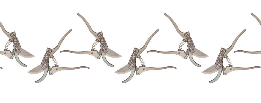 Watercolor seamless border with metal pruning shears for plants on white background. Hand-drawn garden instrumental secateur. Spring and summer rim. Gray scissors. Tool for wallpaper or wrapping