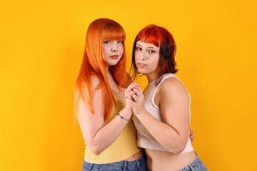 Lovely lesbian couple on yellow background. LGBT concept